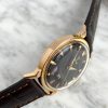 Solid Pink Gold Omega Seamaster XVI 1956 Melbourne Olympics 2850 custom black dial