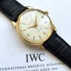 Investment Grade Solid Gold IWC with Textured Dial and Extract from the Archives