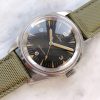 Superrare Omega Seamaster Railmaster PAF Tropical Dial 135004 2914 EXTRACT 135.004