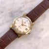 BIG SEAHORSE Omega Seamaster Automatic Vintage Date Linen Dial 2849